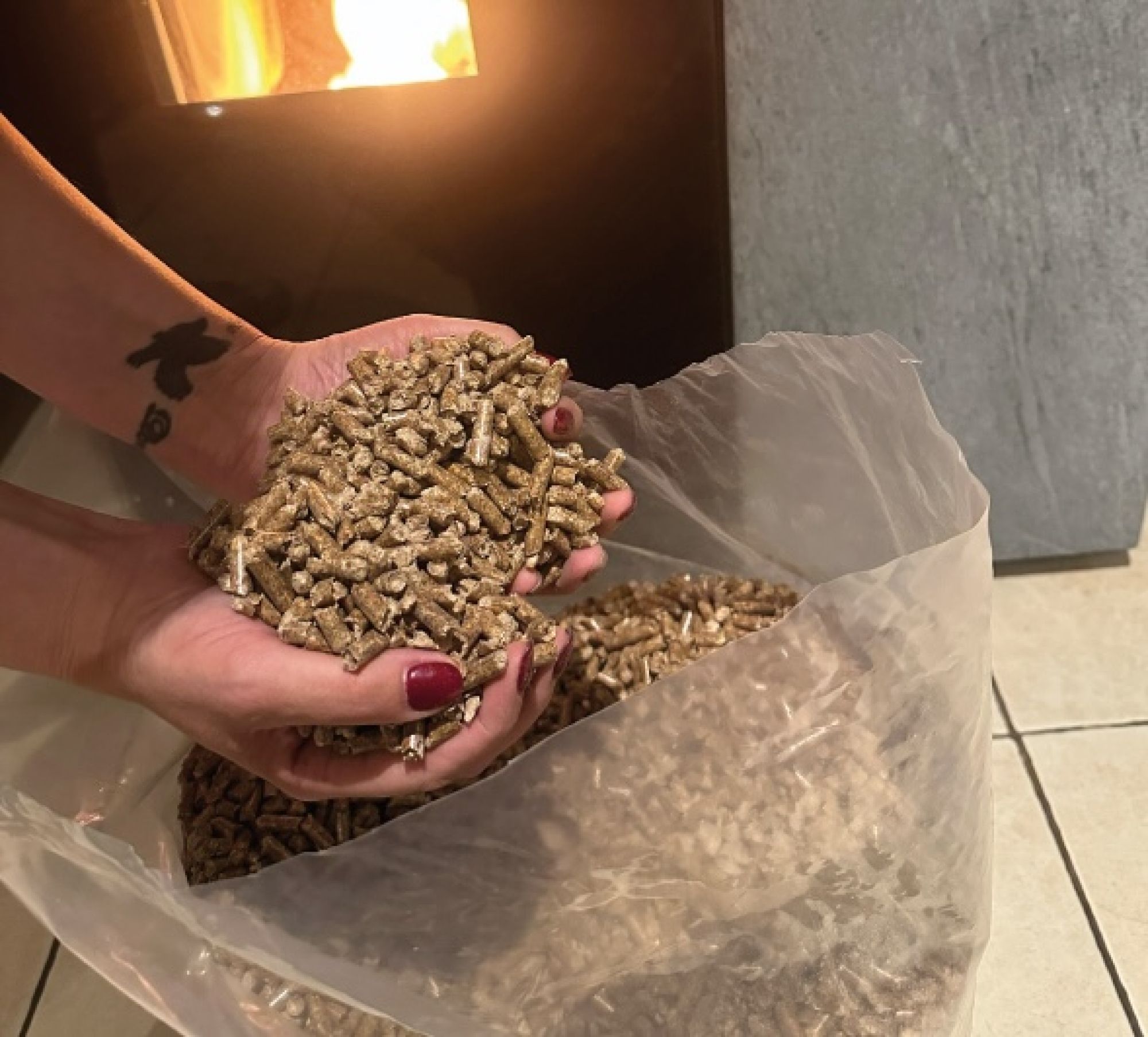Les pellets de chauffage